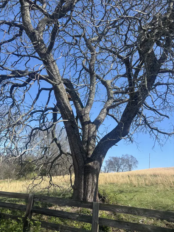 9849 Sam Donald Rd, Nolensville, TN 37135