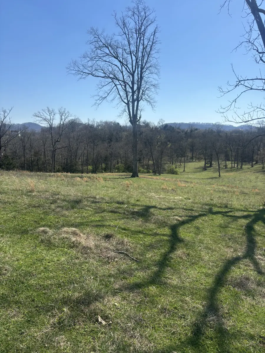 9849 Sam Donald Rd, Nolensville, TN 37135 - #2