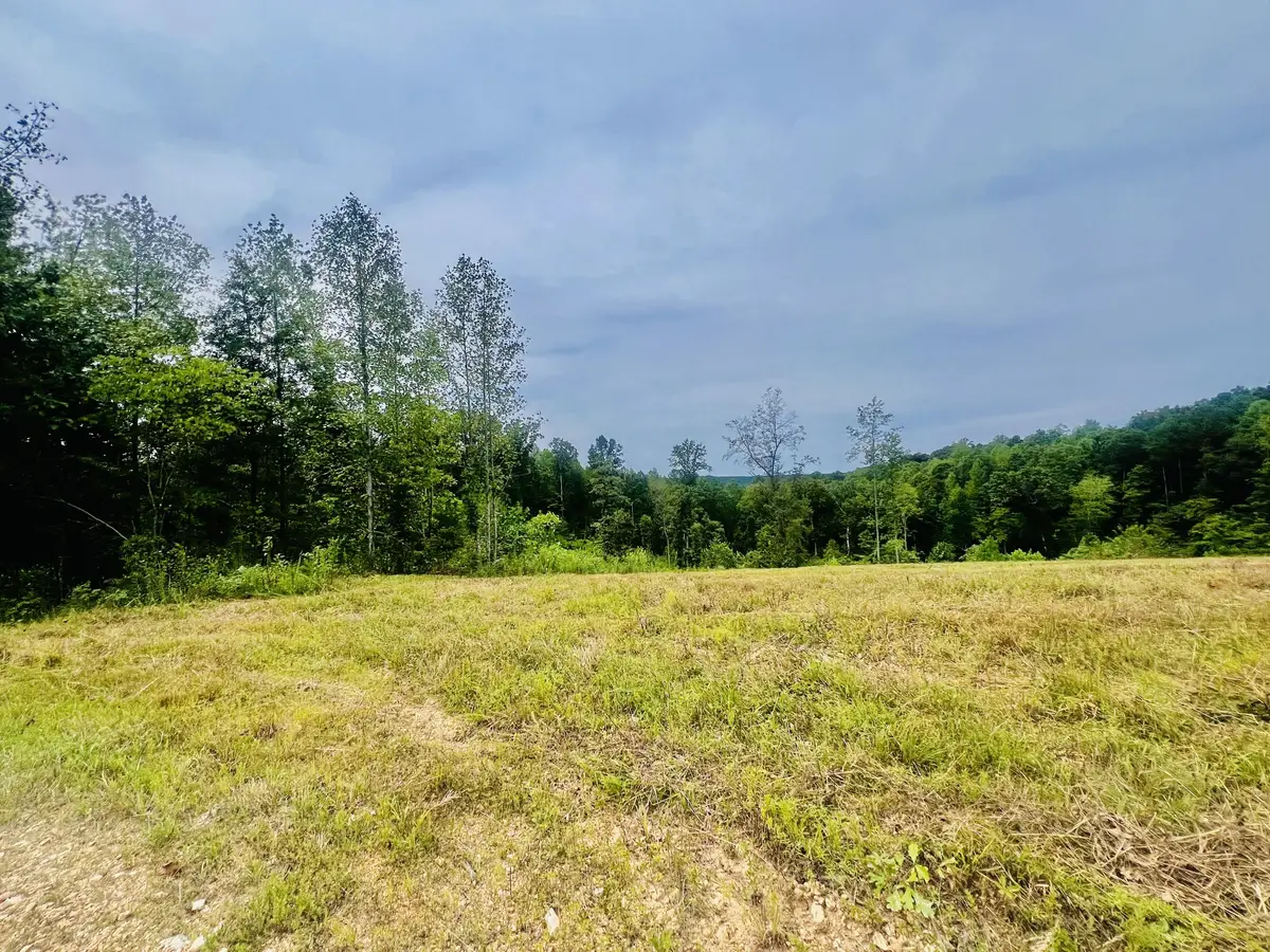 0 Kro Hollow Rd, Hohenwald, TN 38462 - #1