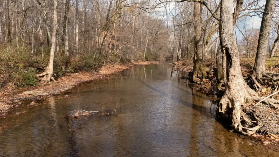 1227 Stayton Road, Cumberland Furnace, TN 37051 - #3