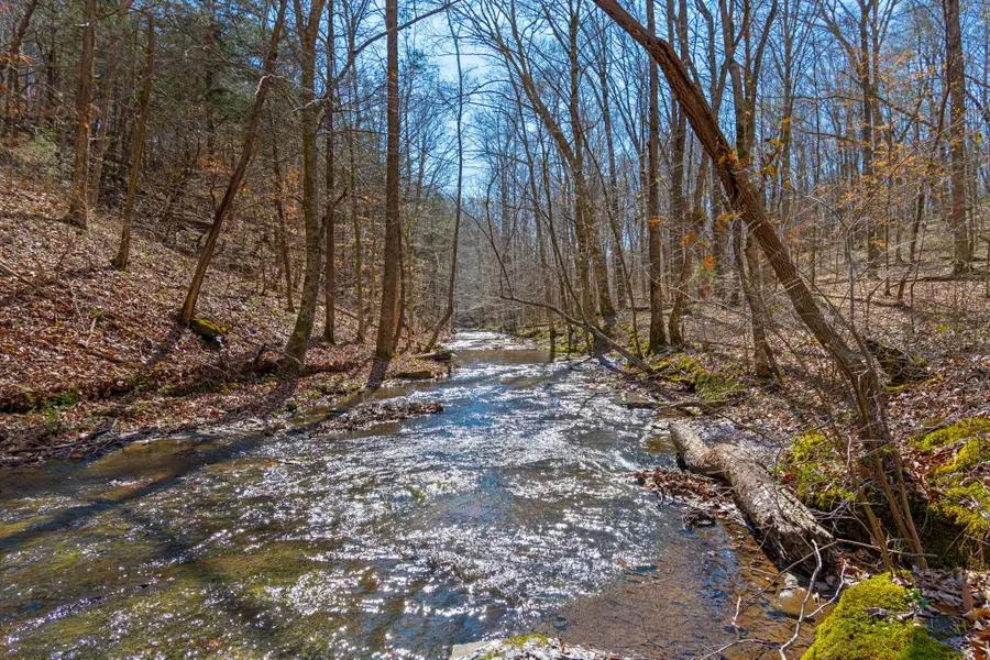 801 Collier Bend Road, Charlotte, TN 37036 - #2