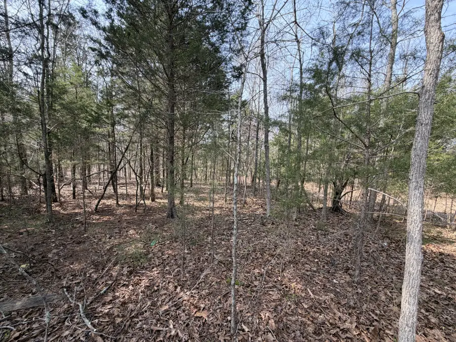 0 Ramery Road, Cumberland City, TN 37050 - #3