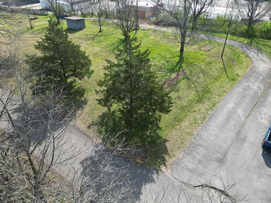 0B Roney Ave, Hohenwald, TN 38462 - #3