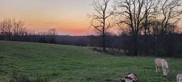 1 Haley Rd, College Grove, TN 37046