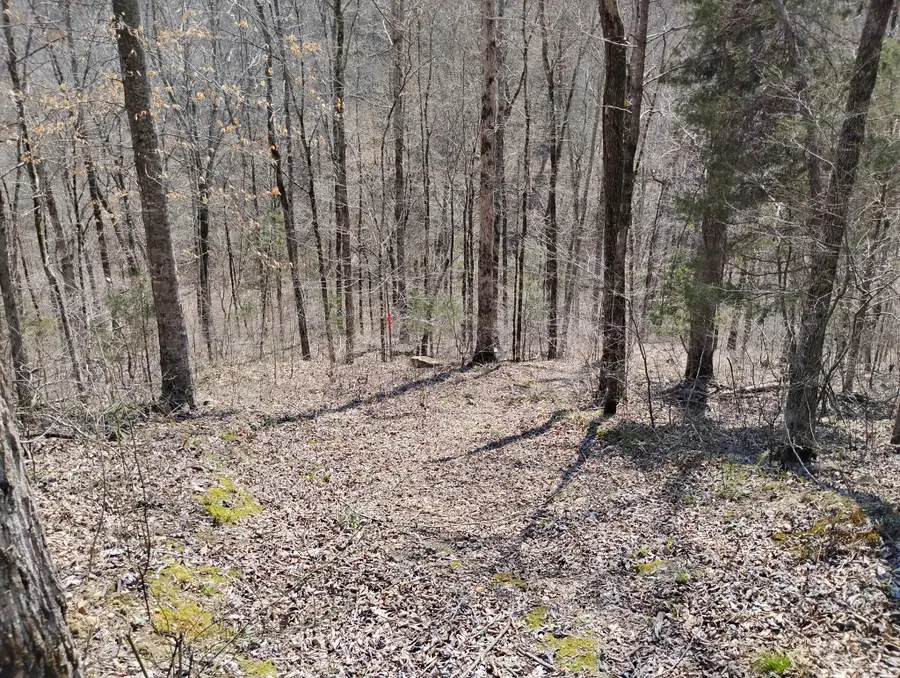 0 Deer Ridge, Waynesboro, TN 38485 - #3