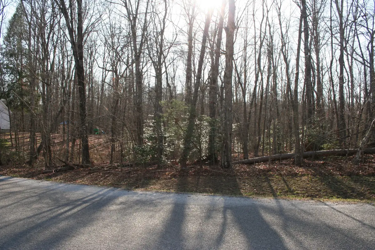 18 Avenue, Gruetli Laager, TN 37339 - #1