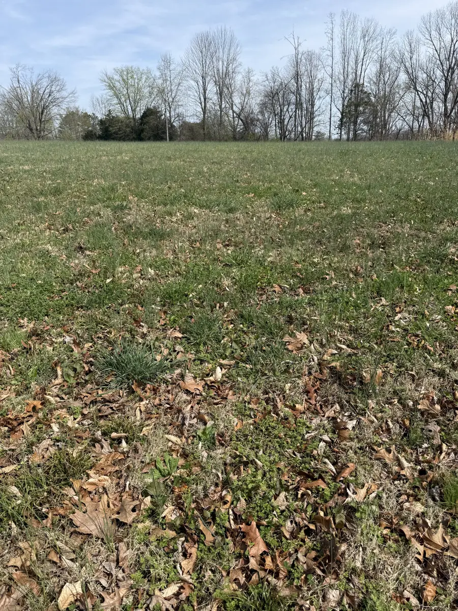 121 Magnolia Dr, Red Boiling Springs, TN 37150 - #3