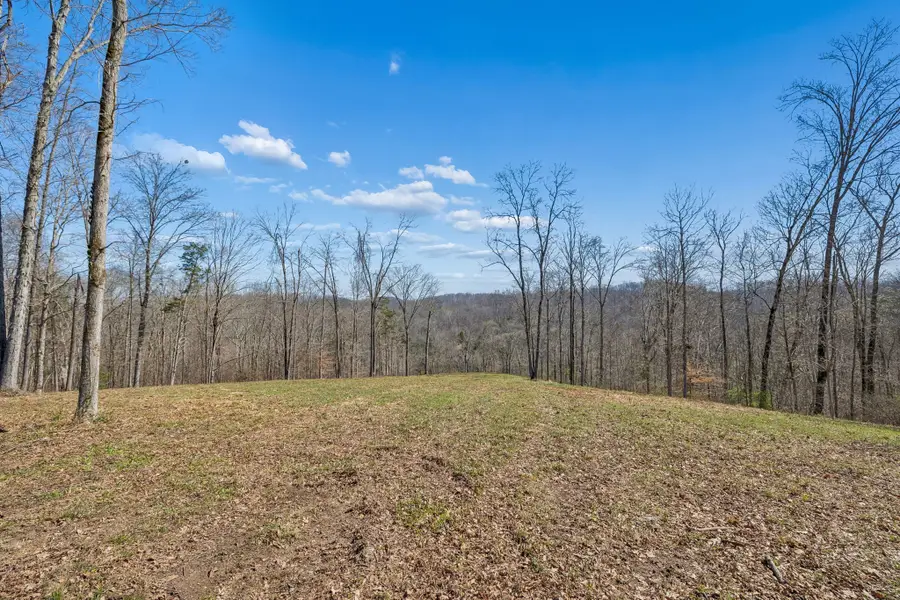 6012 Russell Ridge Lane, Franklin, TN 37064 - #3