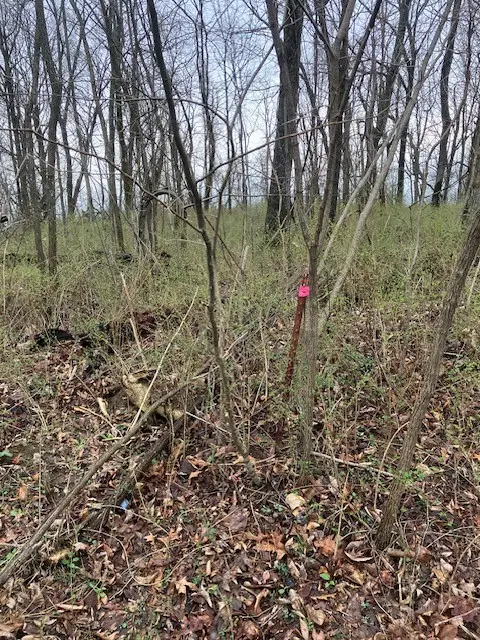 0 Talley Top Trl, Huntland, TN 37345 - #3