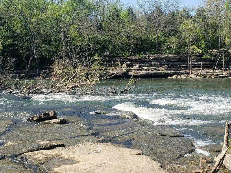 4902 Sandringham Lane, Murfreesboro, TN 37129 - #2