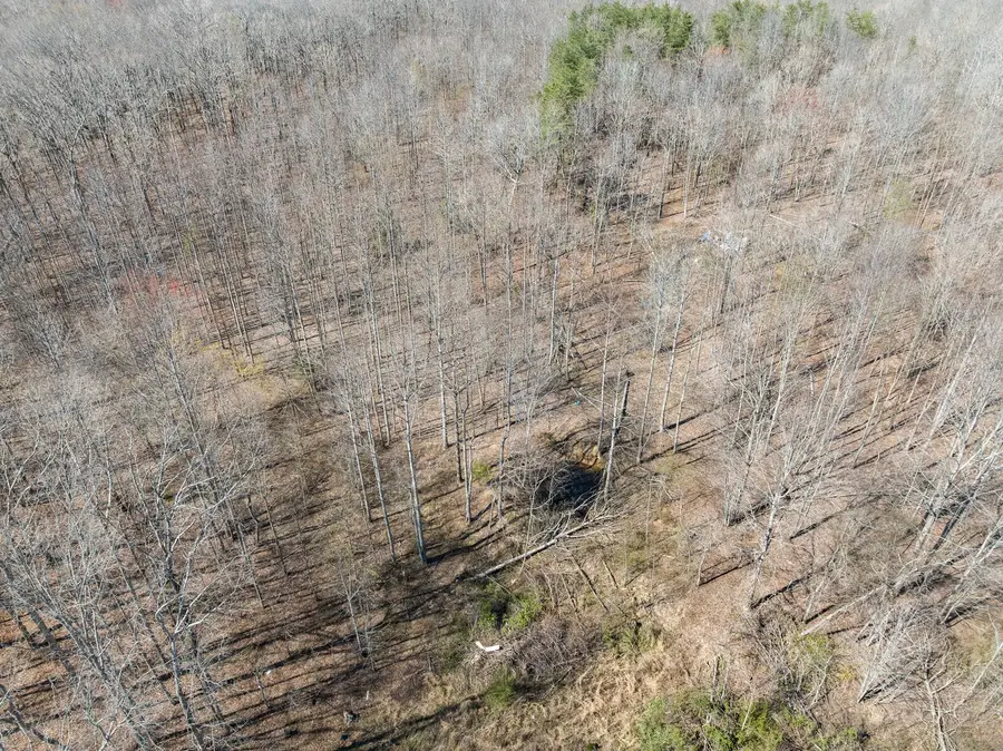 150 Dr Ibrahim Lane, Summertown, TN 38483 - #3