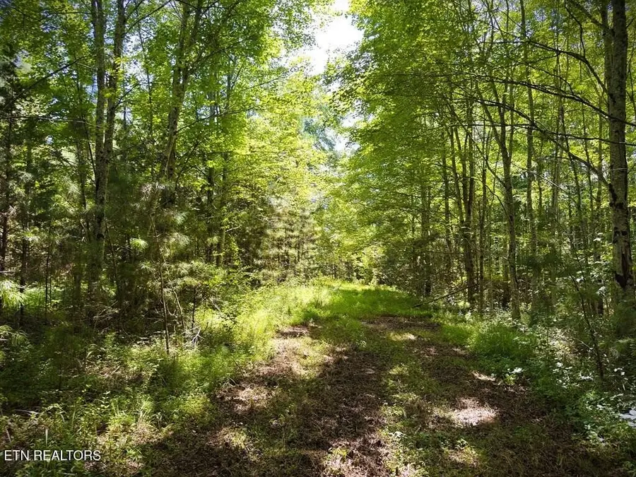 0 Marcrom Rd, Morrison, TN 37357 - #2