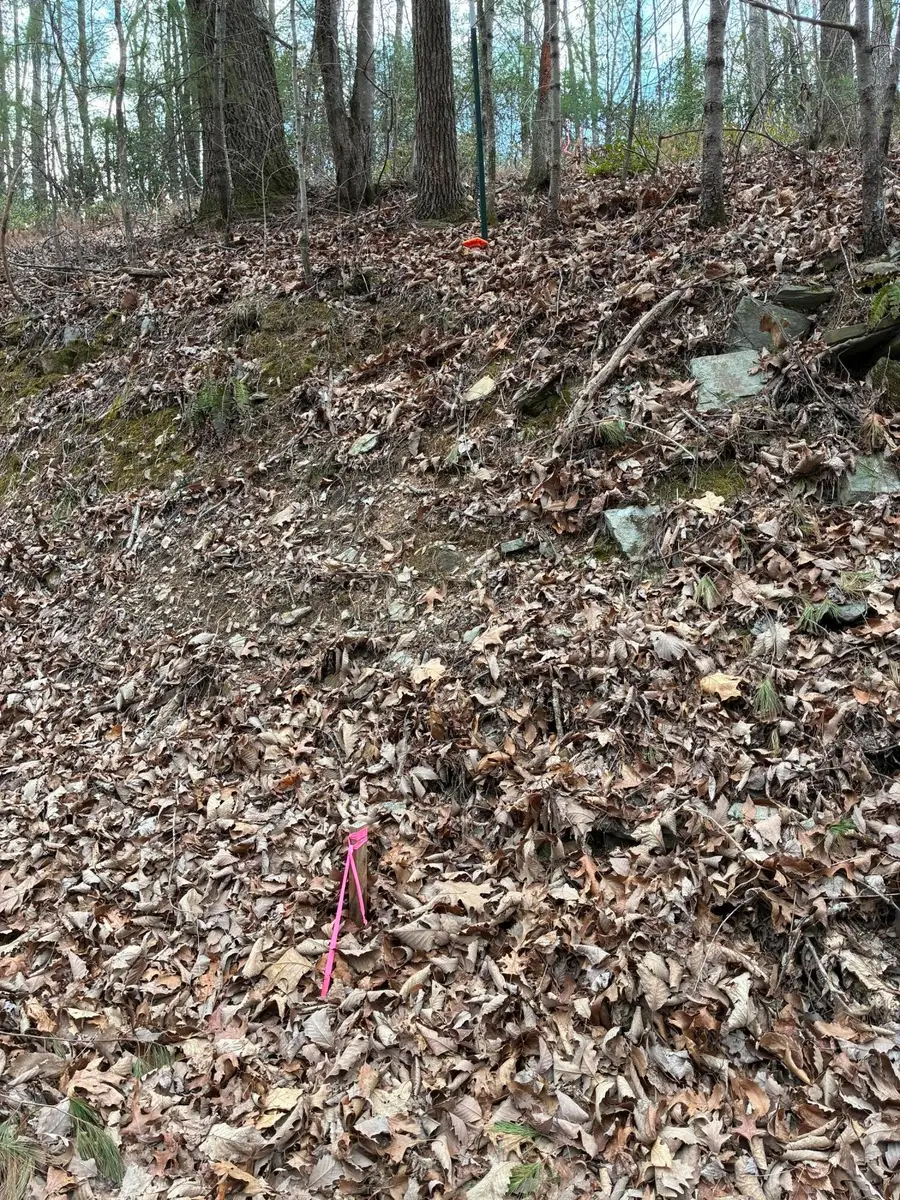 0 Chestnut Mountain Road, Reliance, TN 37369 - #3