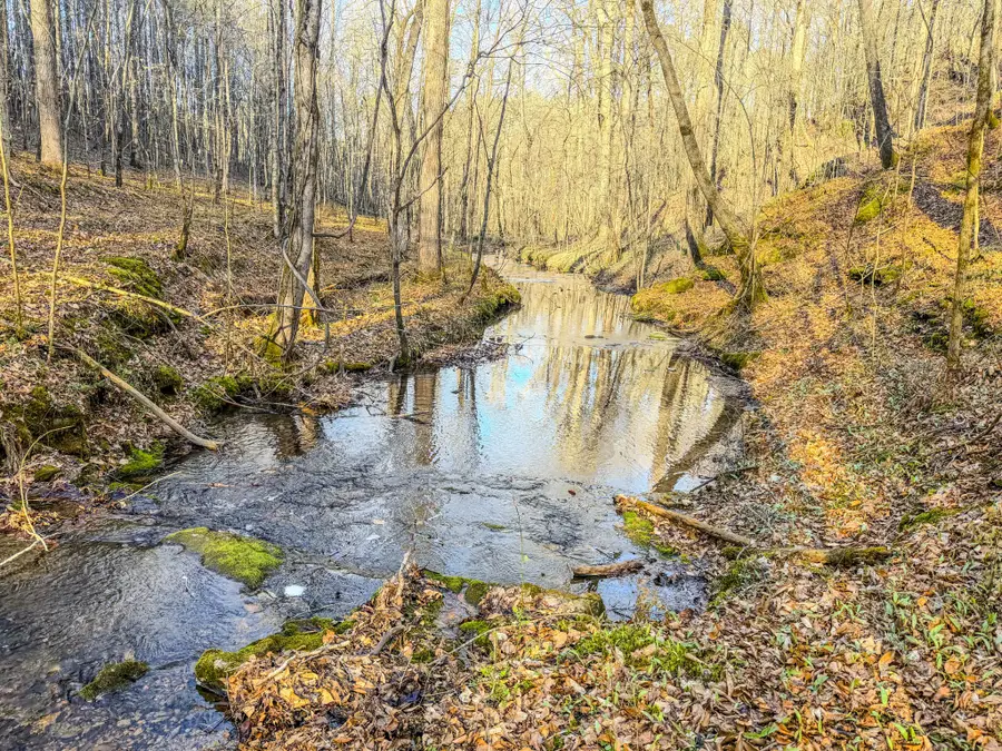 0 Bryant Boswell Rd, Westpoint, TN 38486 - #3