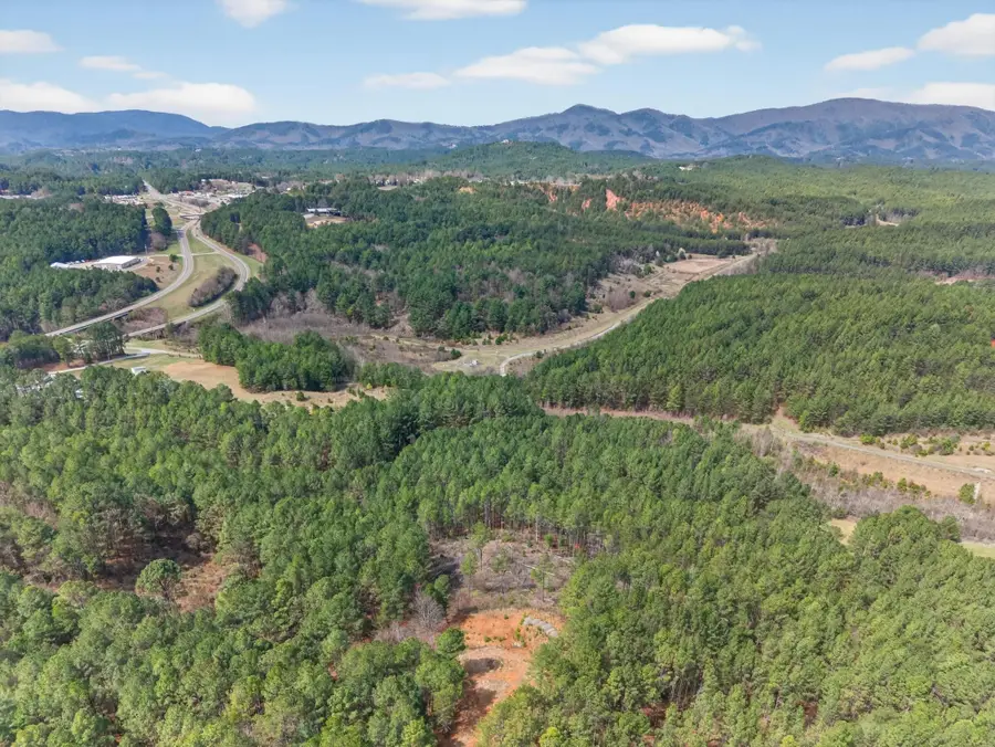 5333 U.s. 64, Lot 3, Copperhill, TN 37317 - #3