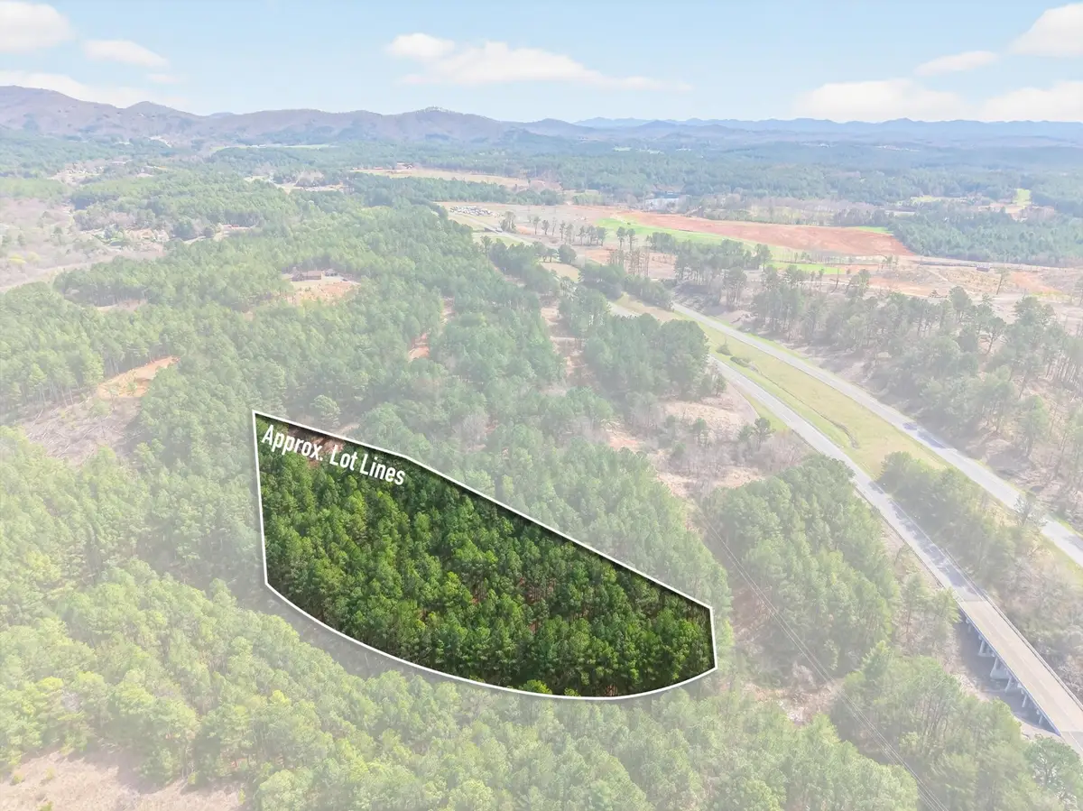 5333 U.s. 64, Lot 4, Copperhill, TN 37317 - #1