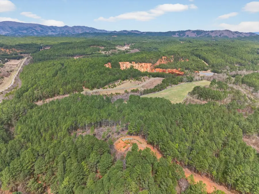 5333 U.s. 64, Lot 6, Copperhill, TN 37317 - #2