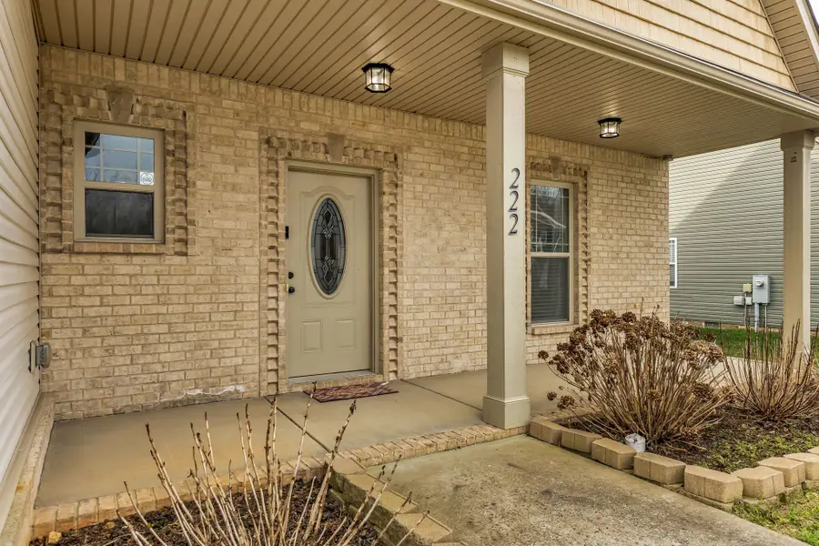 222 Ledina Ct, Clarksville, TN 37043 - #3
