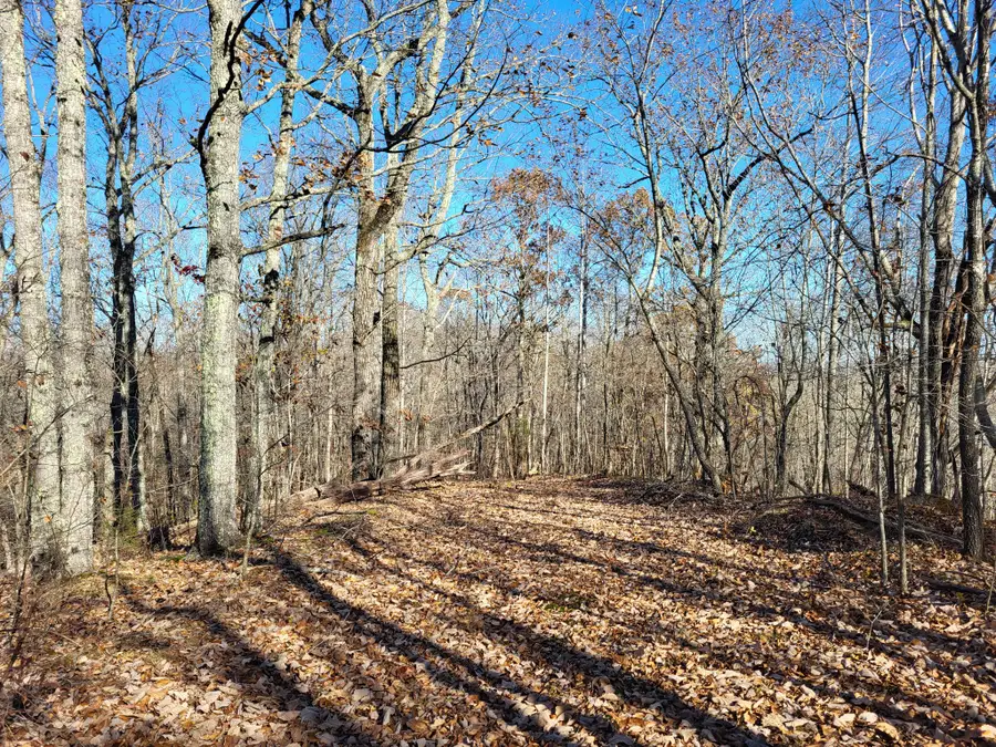 2 Marina Cove Off Road, Holladay, TN 38341 - #3
