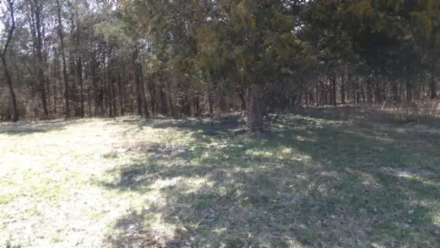 1586 Needmore Rd, Old Hickory, TN 37138 - #3