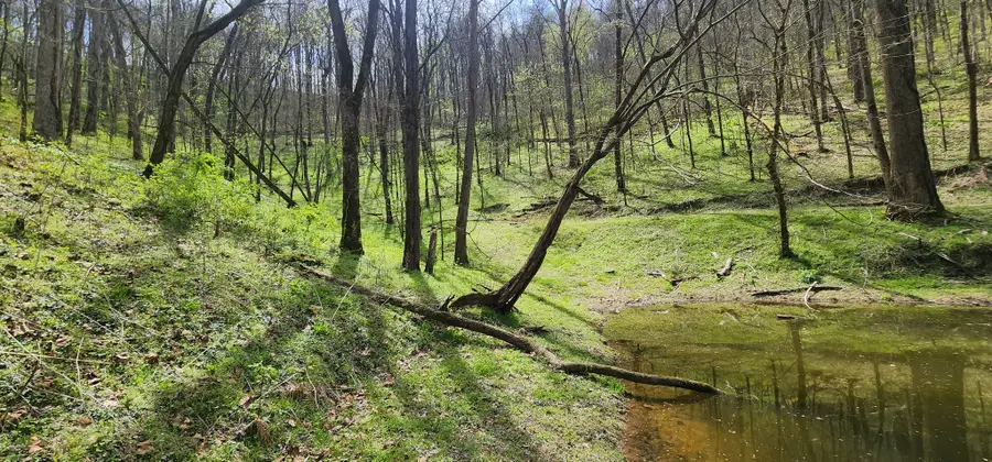 950 Chapman Hollow Rd, Dowelltown, TN 37059 - #2