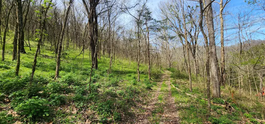 0 Chapman Hollow Rd, Dowelltown, TN 37059 - #3