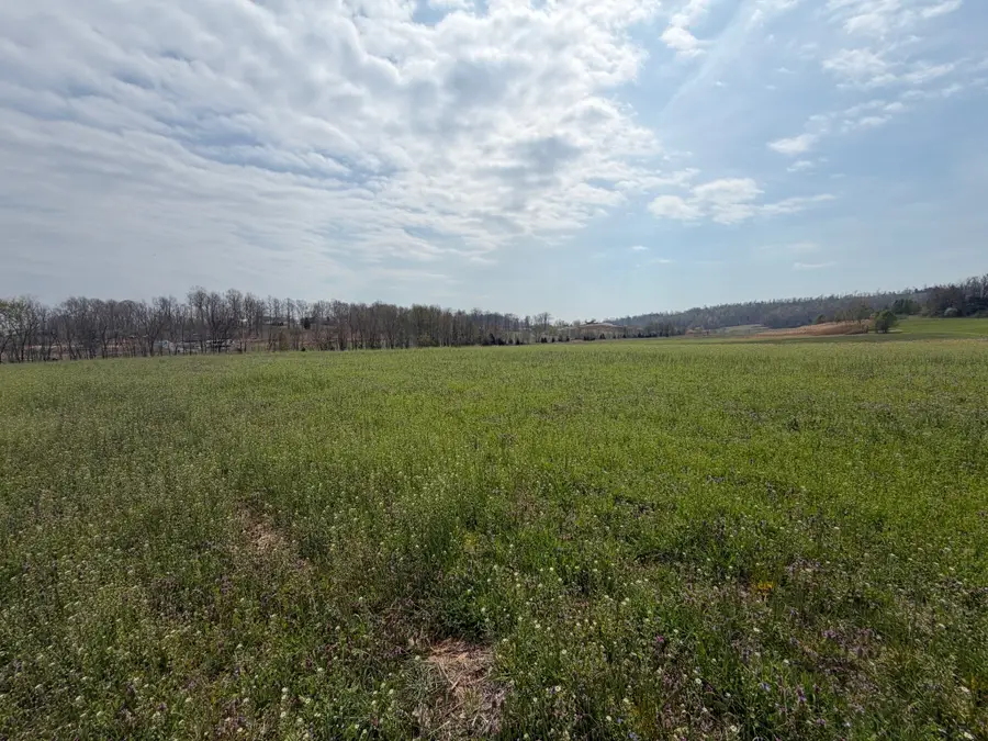 0 State Route 176, Greenville, KY 42345 - #3