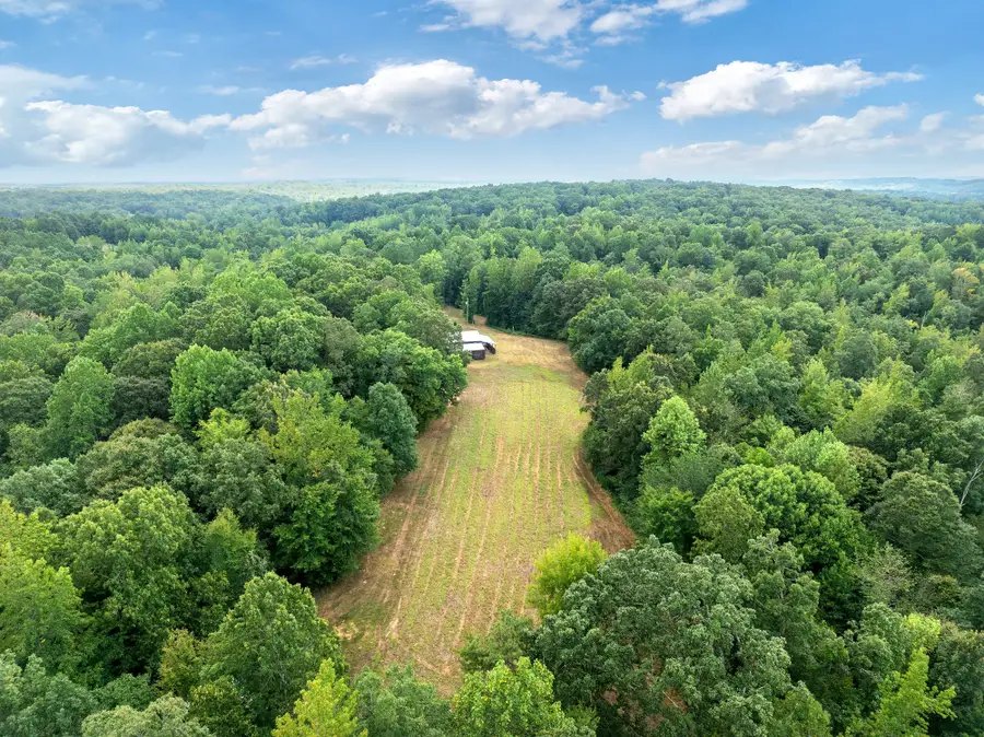 957 Holladay Rd, Parsons, TN 38363 - #3