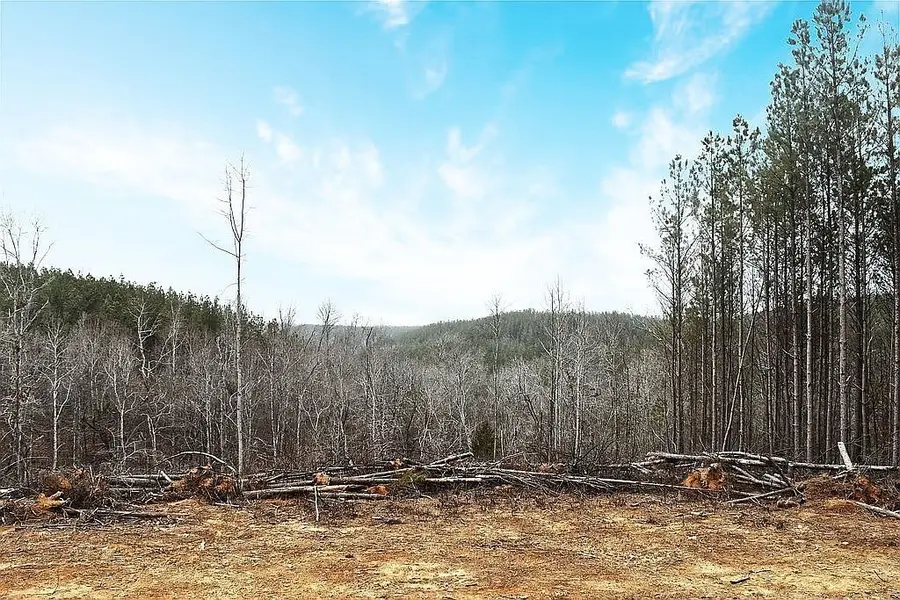 1661 Sassafras Stand Ridge Rd, Linden, TN 37096 - #2