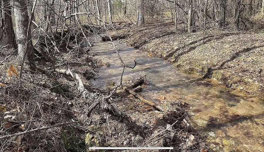 1661 Sassafras Stand Ridge Rd, Linden, TN 37096 - #3