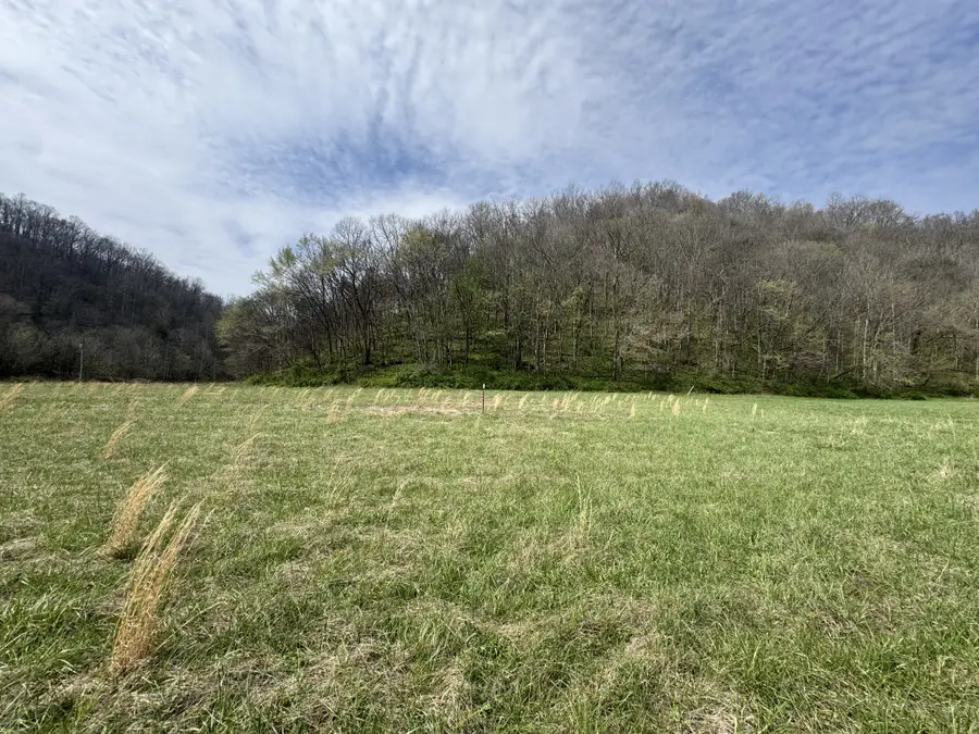 561 Pine Lick Rd, Whitleyville, TN 38588 - #3