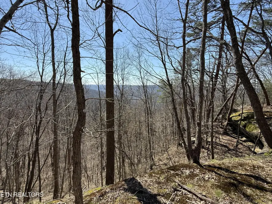 0 Cumberland Cove Rd, Monterey, TN 38574 - #2