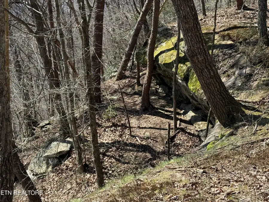 0 Cumberland Cove Rd, Monterey, TN 38574 - #3