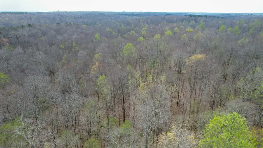 0 Holladay Road, Holladay, TN 38341 - #3