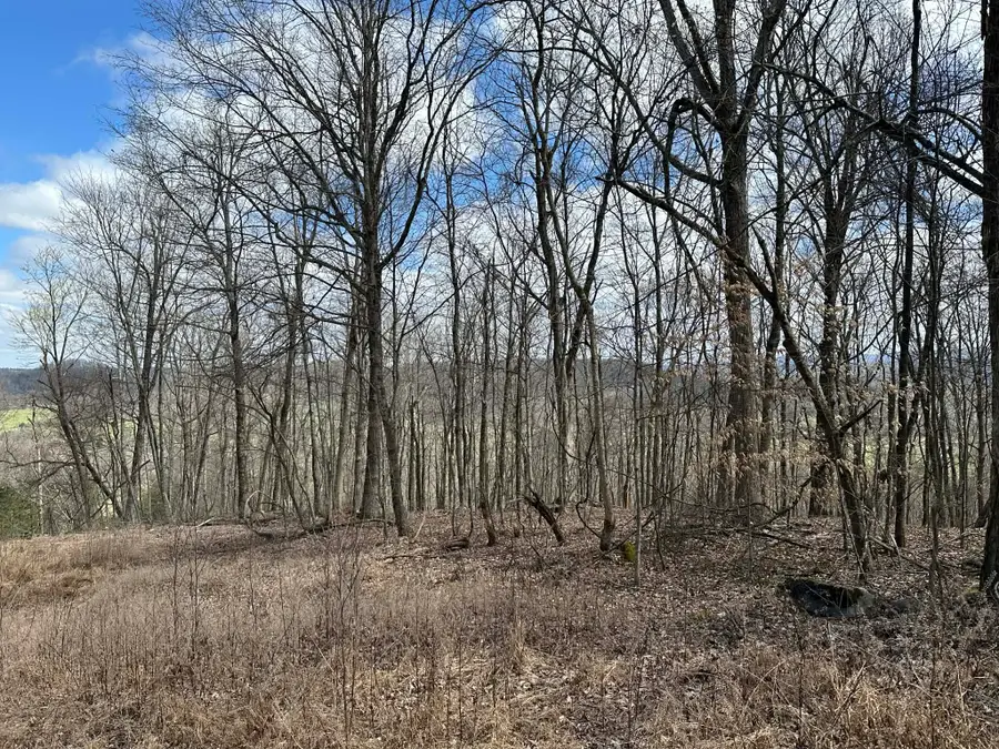 0 Upper Hilham Rd, Livingston, TN 38570 - #3