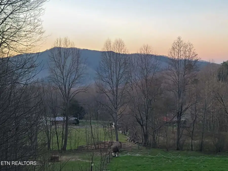 994 Emilyville Way, Cosby, TN 37722 - #2