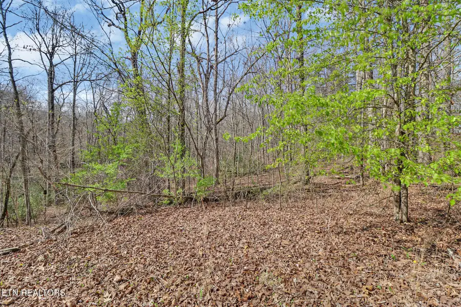 0 Thompson Rd, Crossville, TN 38571 - #2