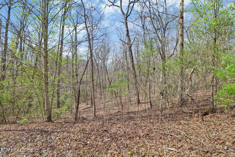 0 Thompson Rd, Crossville, TN 38571 - #3