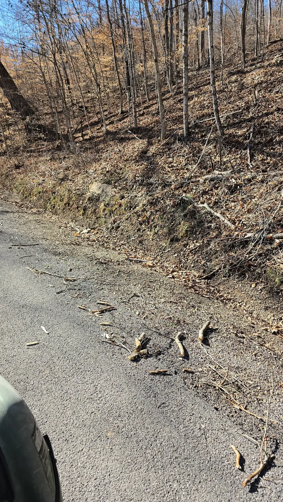 0 Honey Fork Road, Indian Mound, TN 37079 - #3