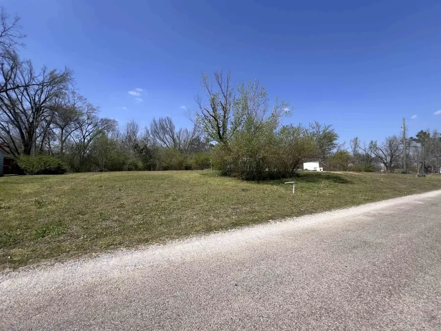 410 Angotti Rd, Crump, TN 38327 - #3