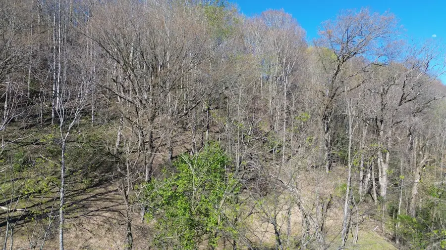 0 Blackberry Ridge Way, Smithville, TN 37166 - #3