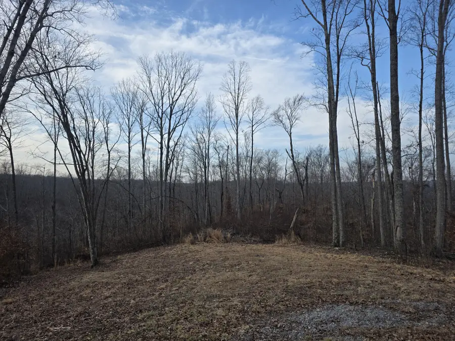 617 Pleasant Hill Cemetery Ln, Gainesboro, TN 38562 - #2