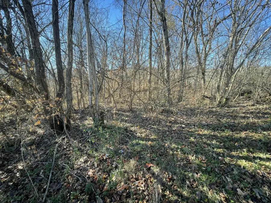 0 County Road 890, Etowah, TN 37331 - #2