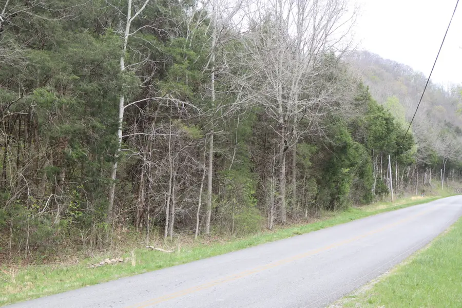 0 Club Springs Rd, Elmwood, TN 38560 - #3