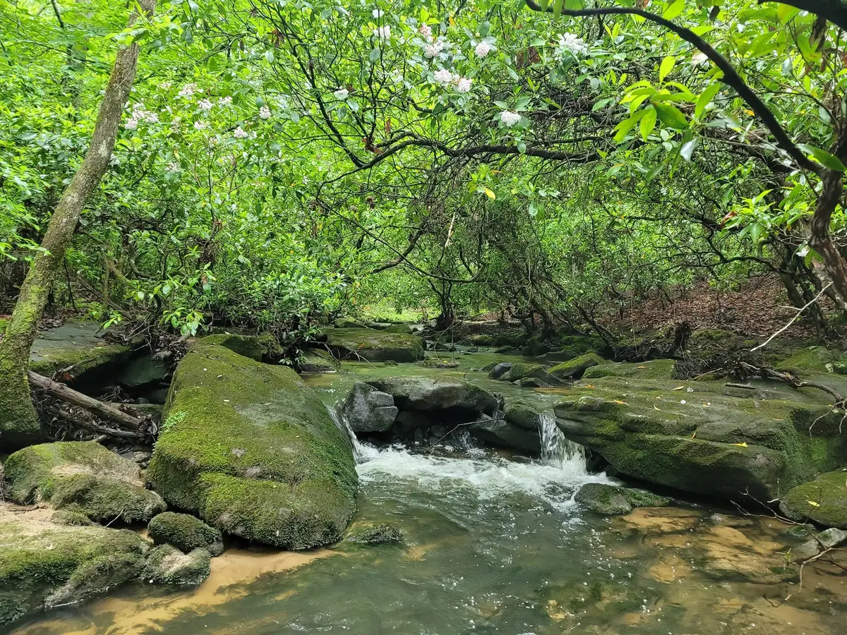 911 Spearhead Cir, Clarkrange, TN 38553 - #1