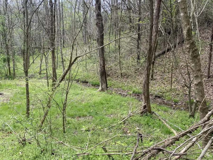 0 Globe Rd, Lewisburg, TN 37091 - #3