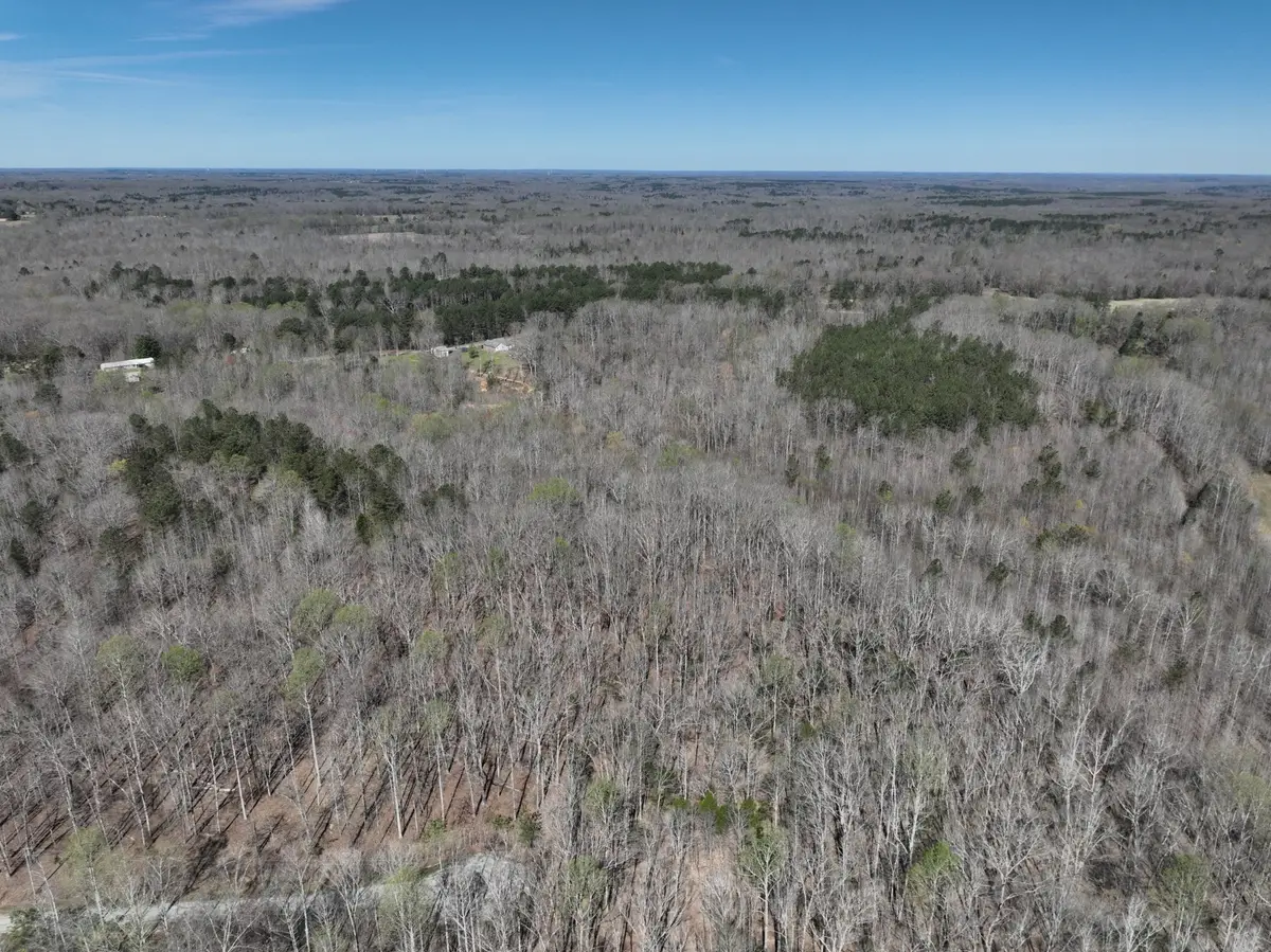 255 War Eagle Drive, Cedar Grove, TN 38321 - #1