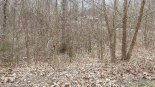 0 Beaver Lane, Gainesboro, TN 38562