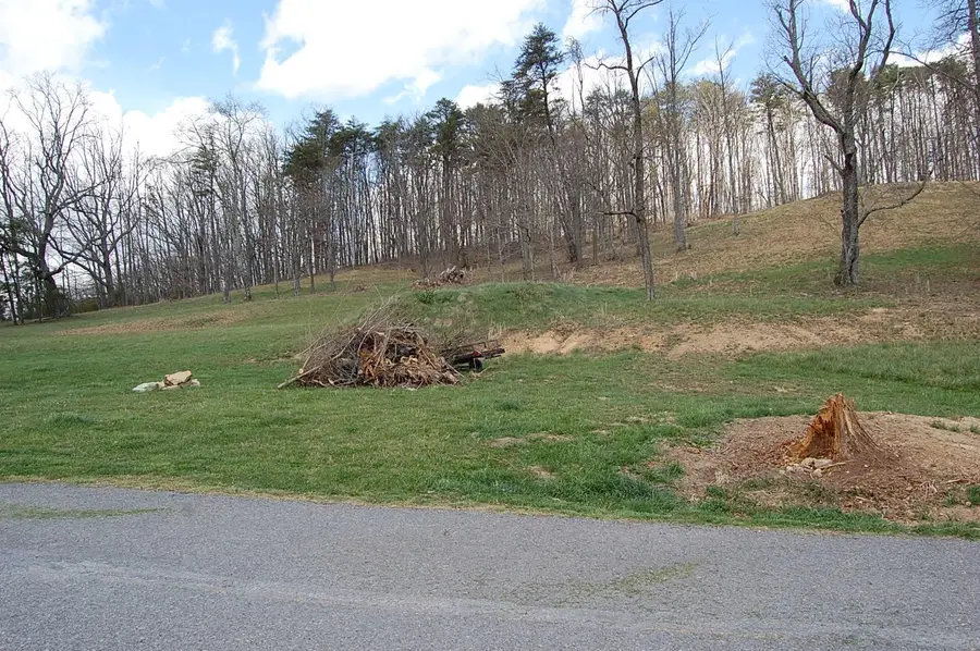 0 Bennie Camp Road, Dunlap, TN 37327 - #3