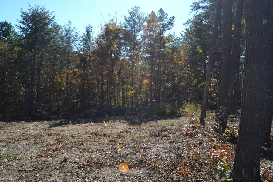 16 Countryside Drive, Dunlap, TN 37327 - #3